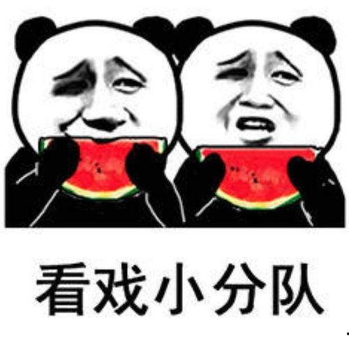 女生发吃瓜的表情怎么回复